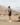 Men’s Microgrid Run Tank | Black -Performance Top
