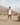 Men’s 5” Run Shorts | Taupe -Performance Short