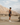 Men’s 5” Run Shorts | Olive -Performance Short