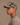 Athletics Hat | Vintage Camo -Mid-Profile Hat