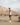 Men’s Microgrid Run Tank | White -Performance Top
