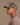 Athletics Hat | Vintage Camo